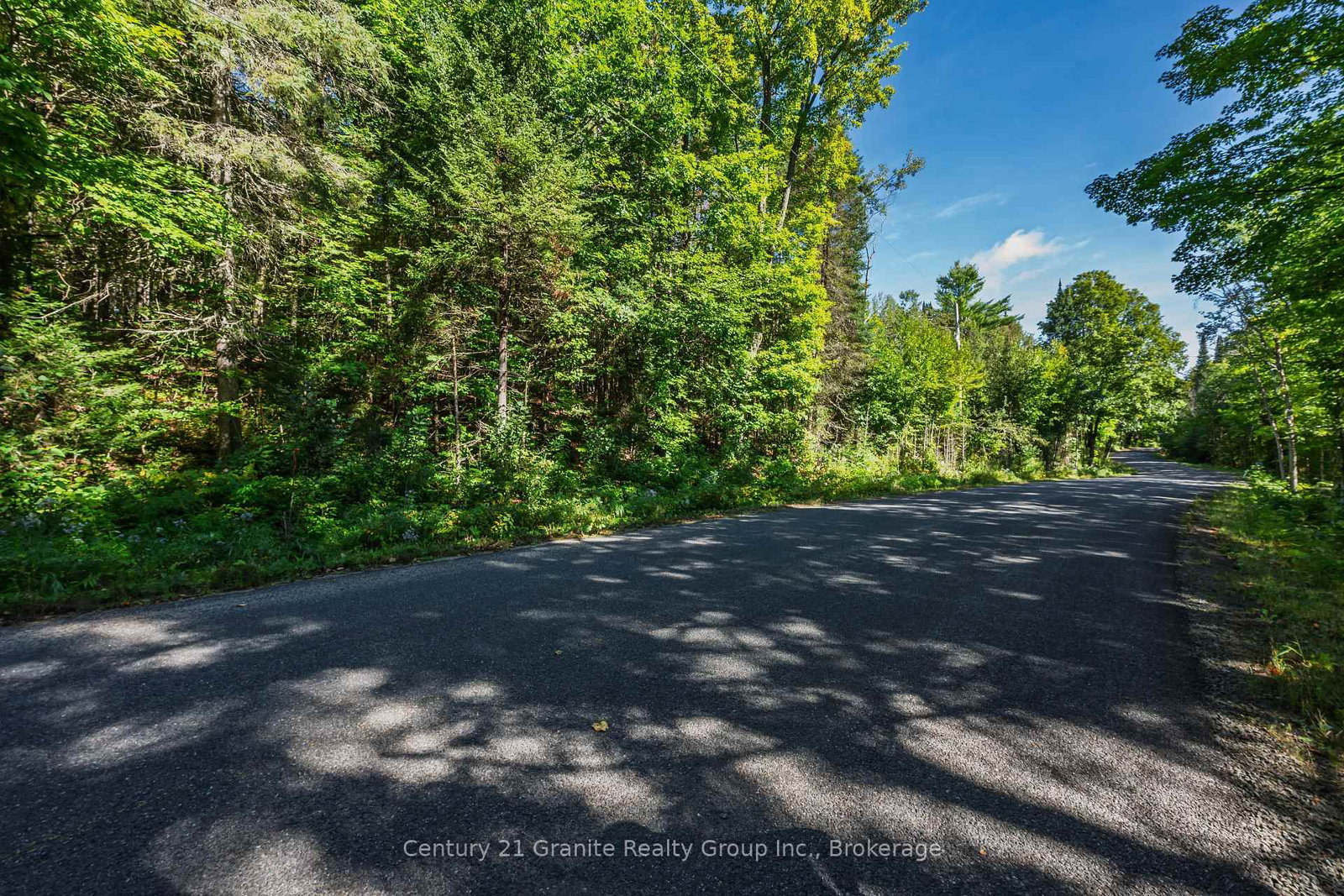 0 Irondale Road • Highlands East, ON photo 13