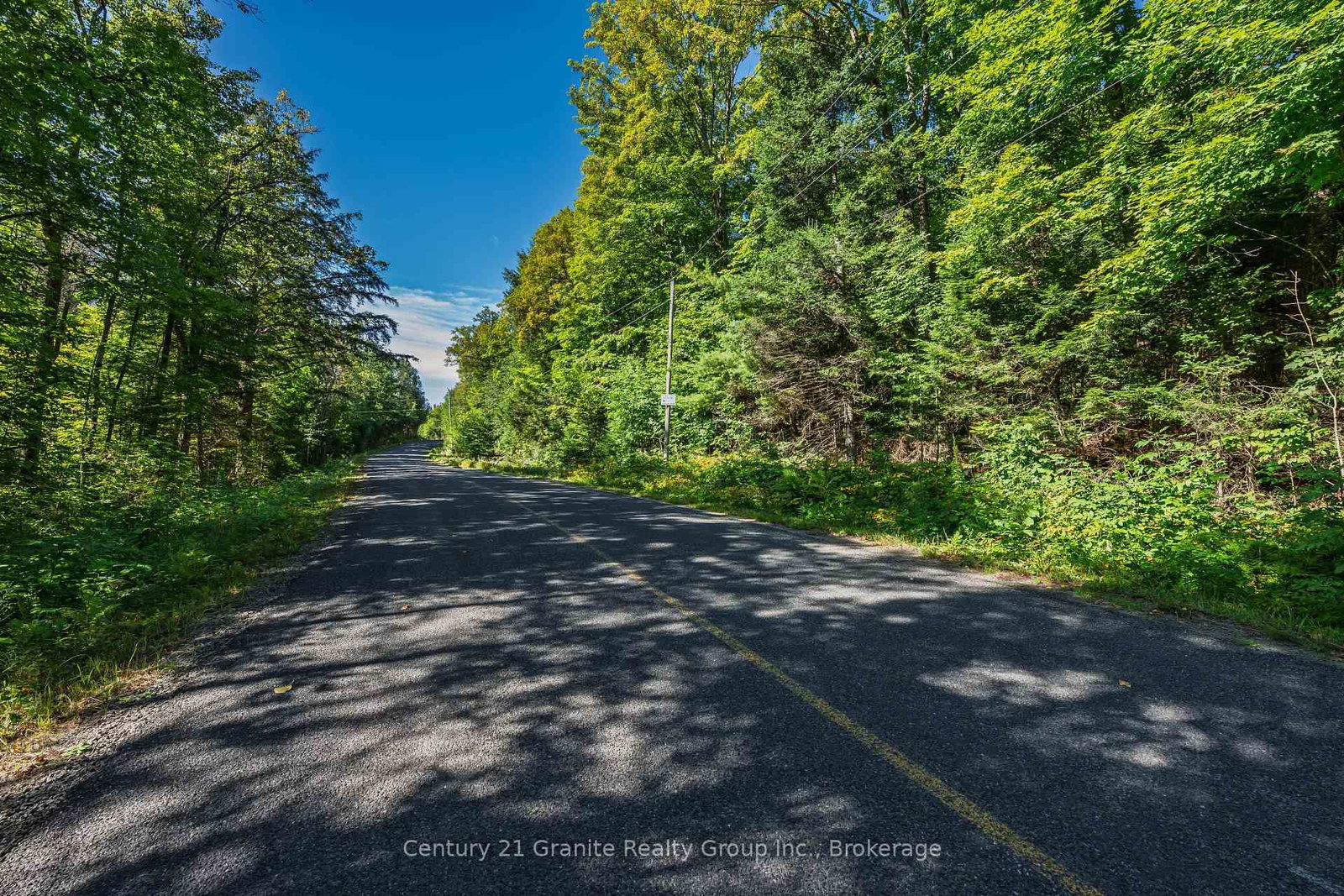 0 Irondale Road • Highlands East, ON photo 14