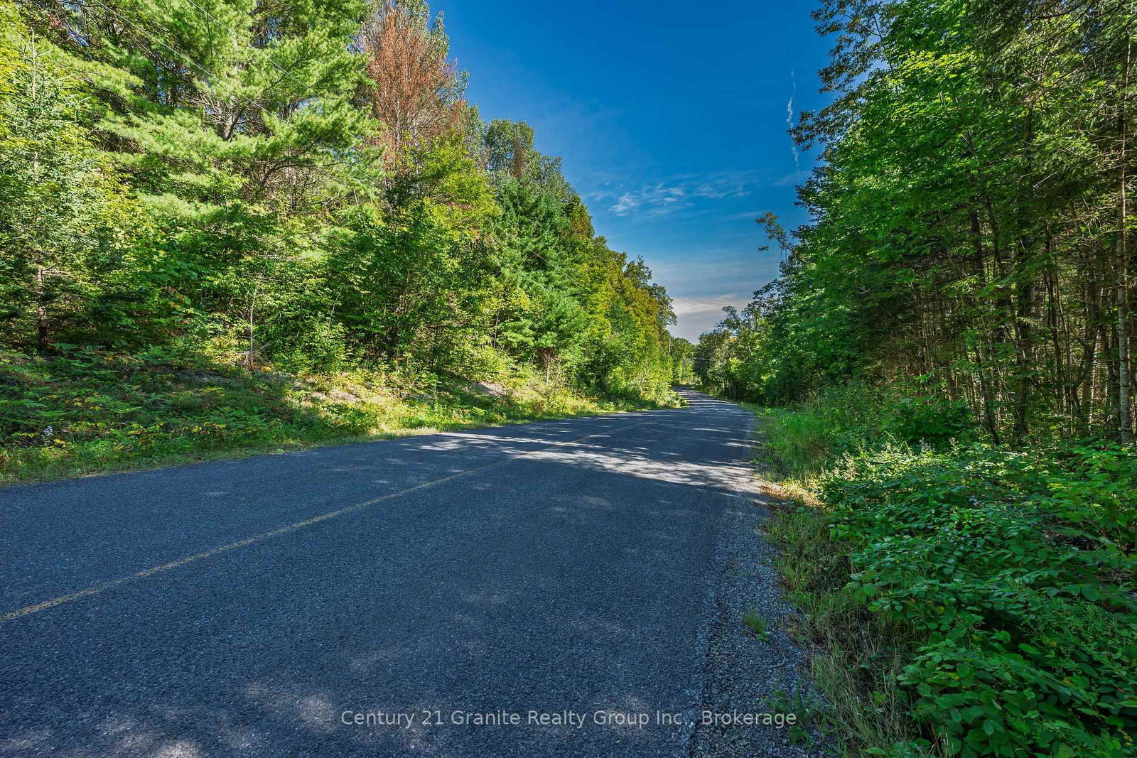 0 Irondale Road • Highlands East, ON photo 15