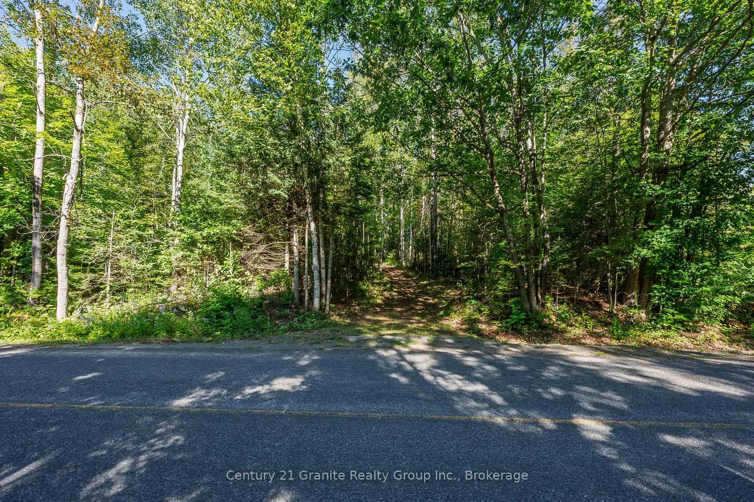 0 Irondale Road • Highlands East, ON photo 2