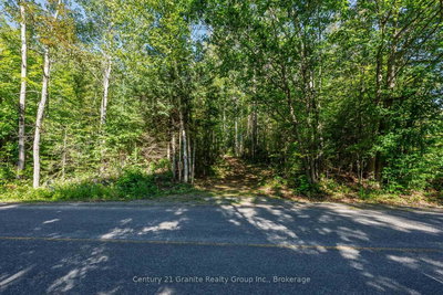 0 Irondale Road • Highlands East, ON photo 2