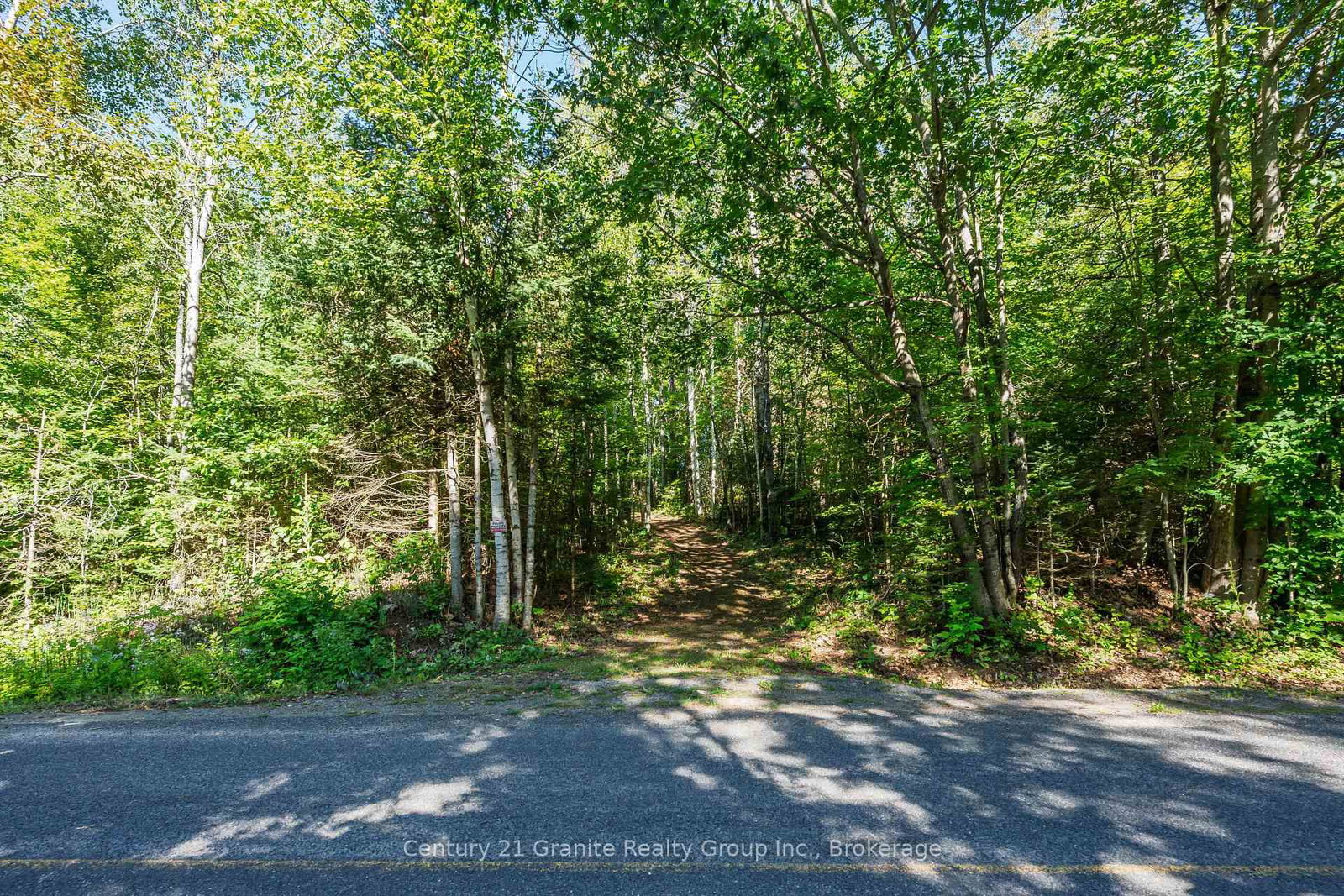 0 Irondale Road • Highlands East, ON photo 3