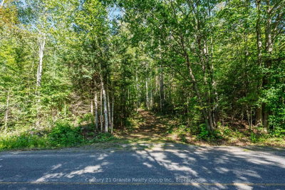 0 Irondale Road • Highlands East, ON photo 3