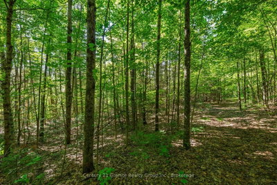 0 Irondale Road • Highlands East, ON photo 4