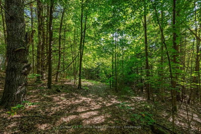 0 Irondale Road • Highlands East, ON photo 5