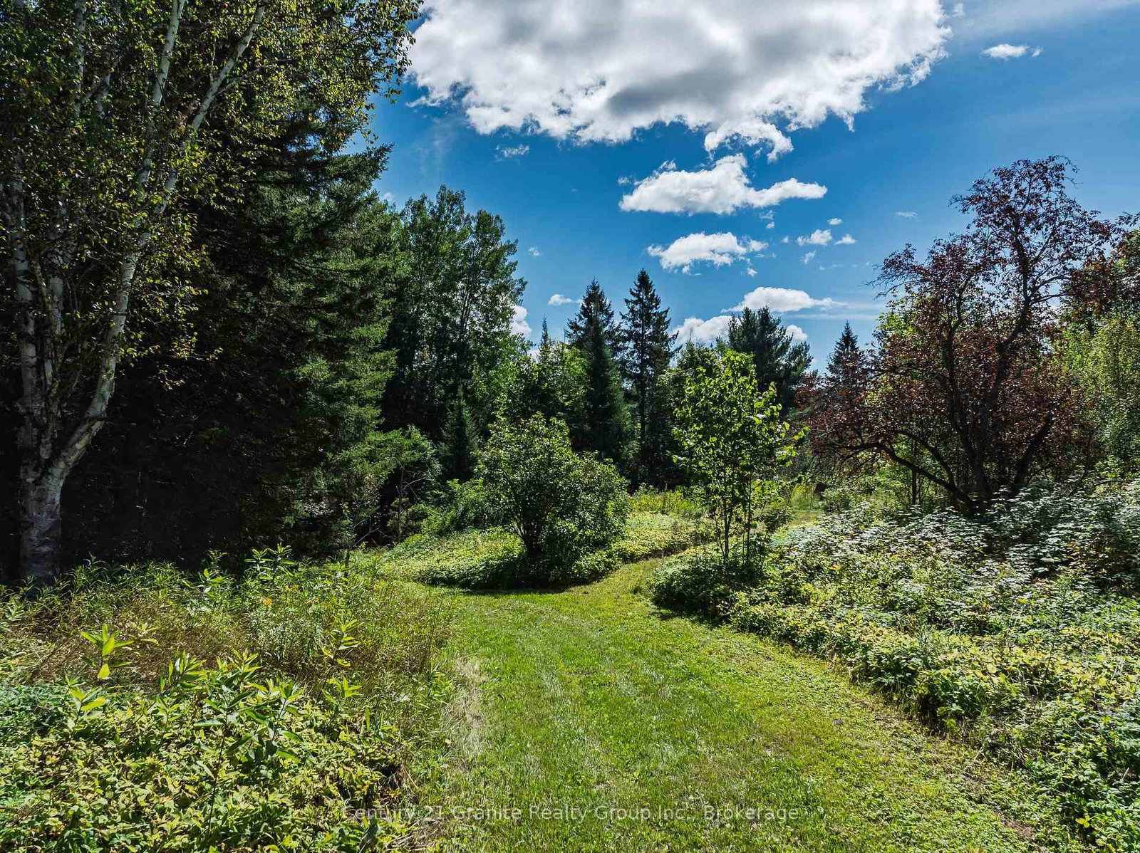 1961 Irondale Road • Highlands East, ON photo 10