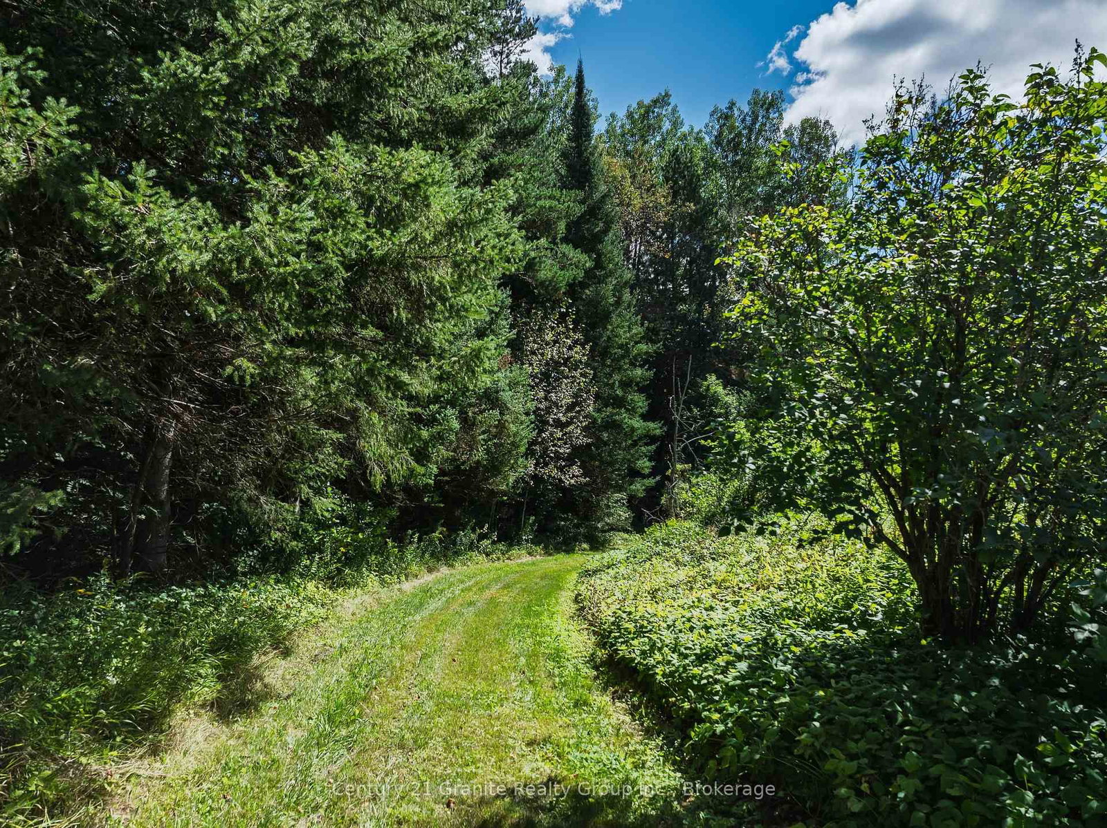 1961 Irondale Road • Highlands East, ON photo 12