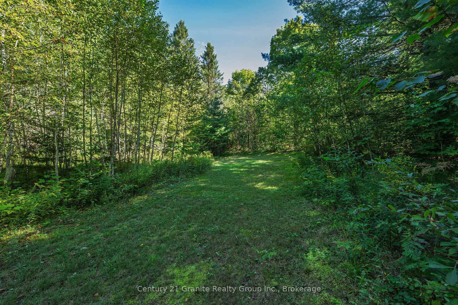 1961 Irondale Road • Highlands East, ON photo 15
