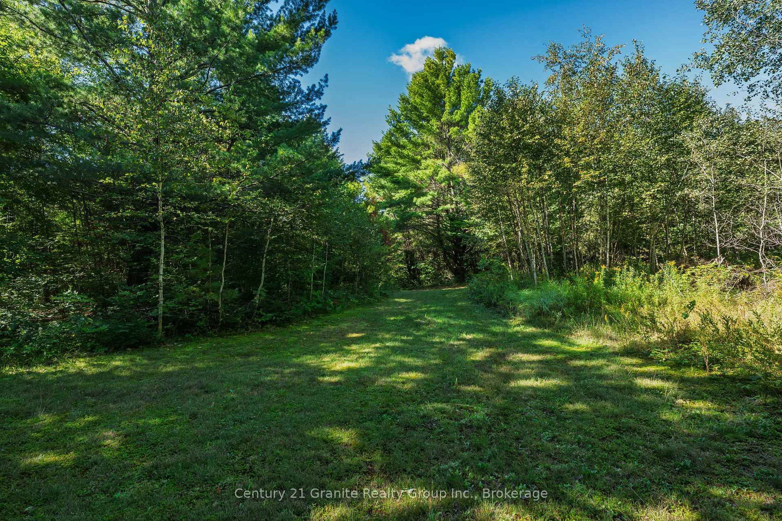 1961 Irondale Road • Highlands East, ON photo 16