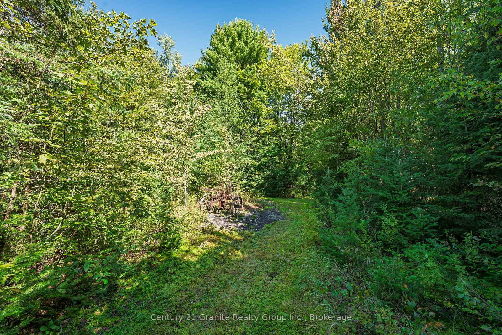 1961 Irondale Road • Highlands East, ON photo 17