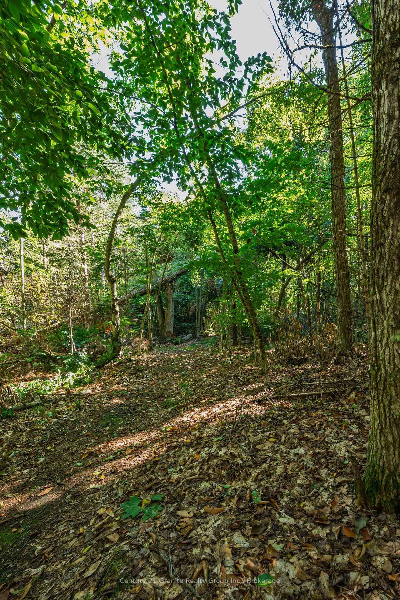1961 Irondale Road • Highlands East, ON photo 20