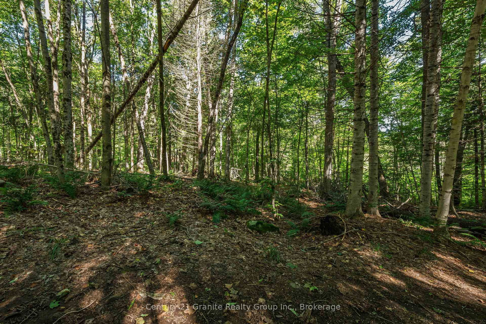 1961 Irondale Road • Highlands East, ON photo 21