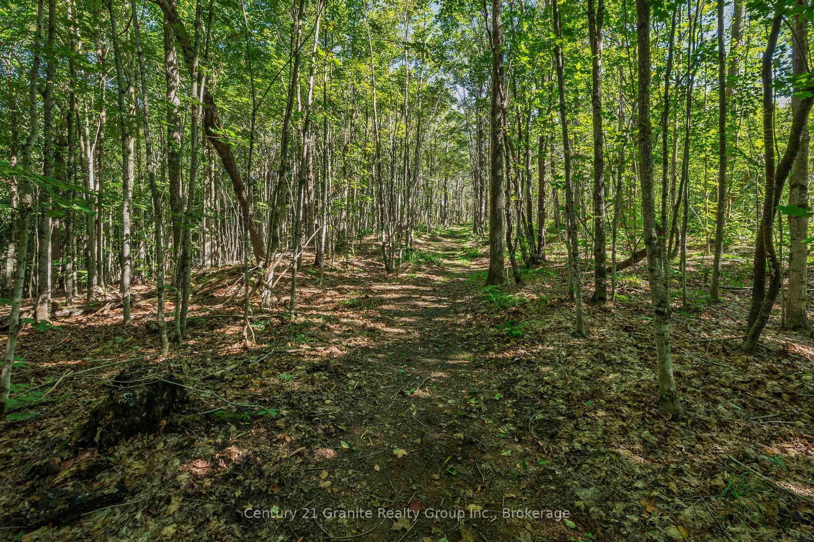 1961 Irondale Road • Highlands East, ON photo 22