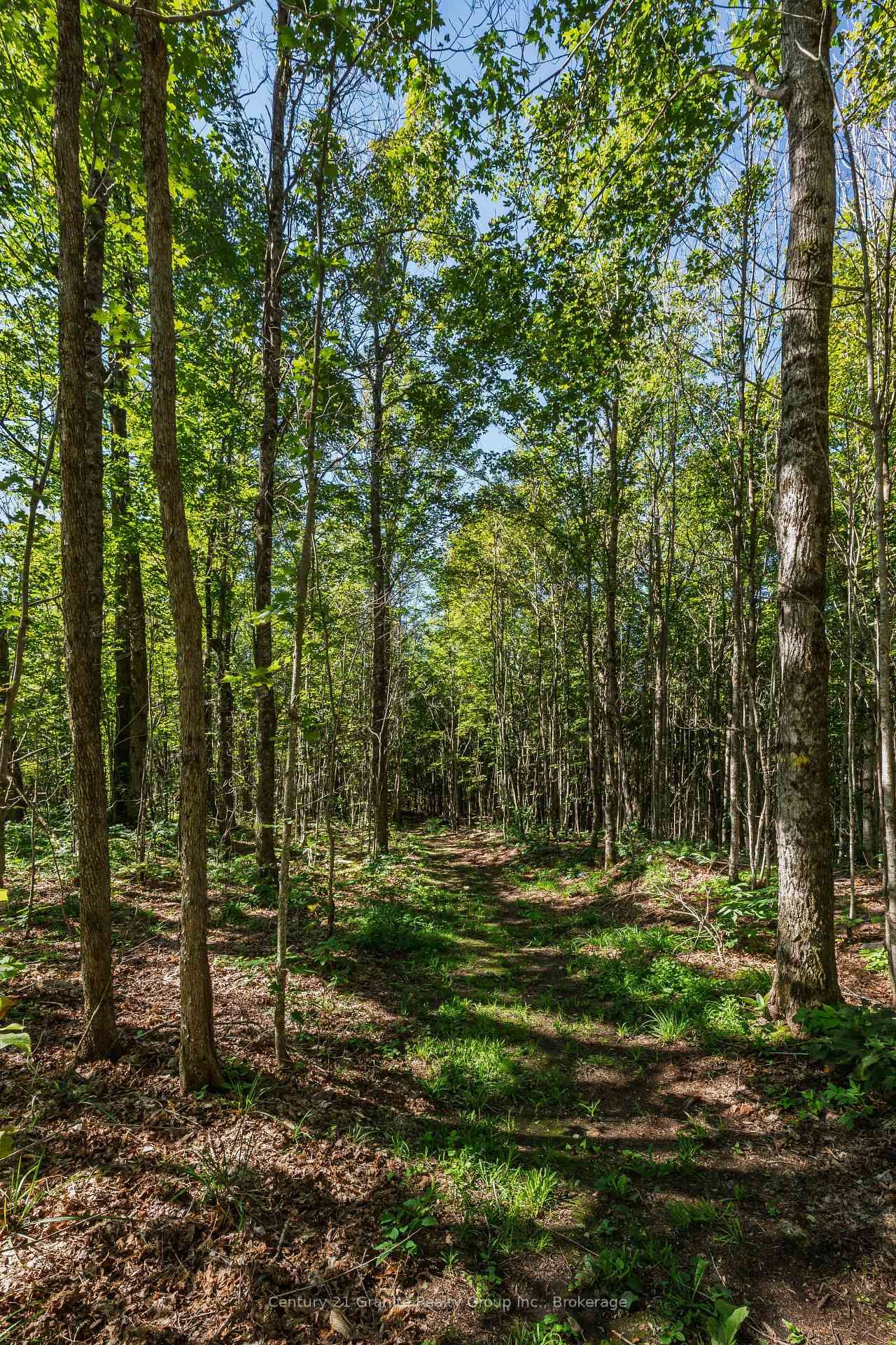 1961 Irondale Road • Highlands East, ON photo 23