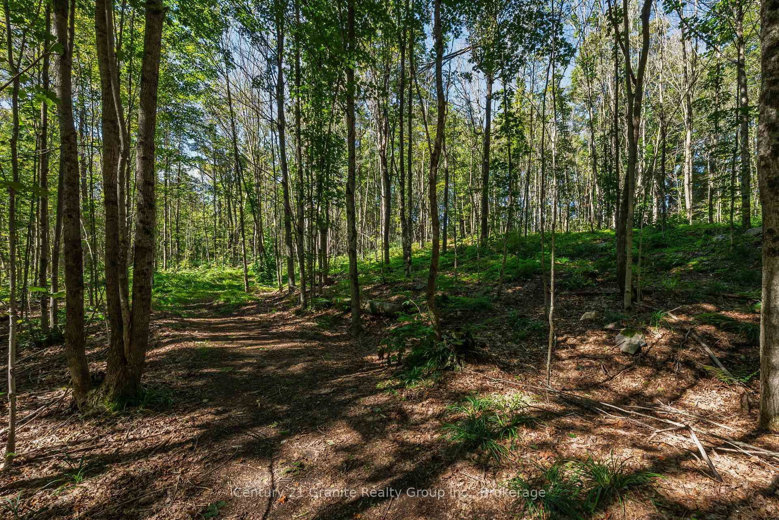1961 Irondale Road • Highlands East, ON photo 24
