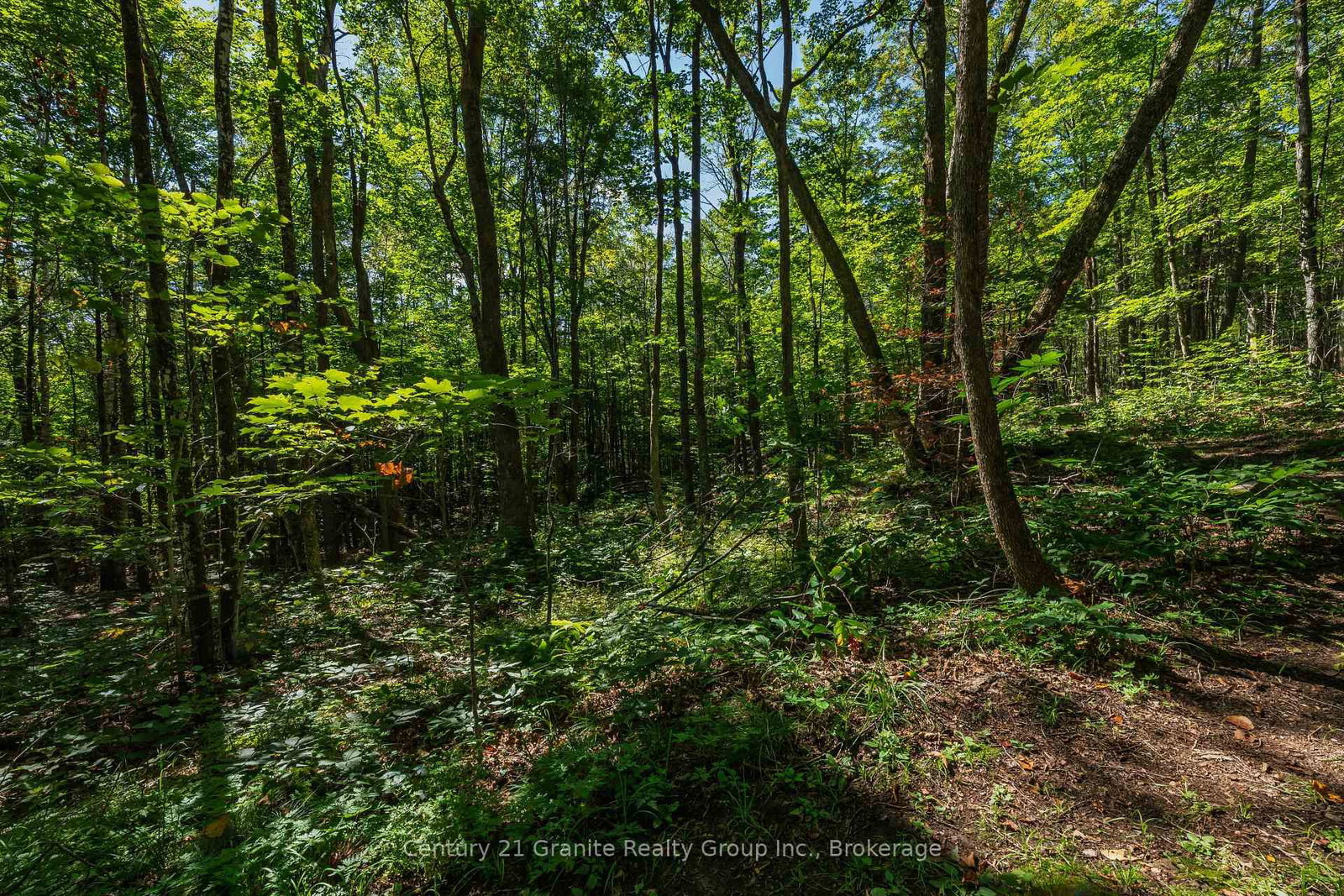 1961 Irondale Road • Highlands East, ON photo 25