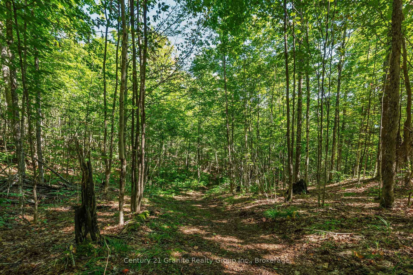 1961 Irondale Road • Highlands East, ON photo 26