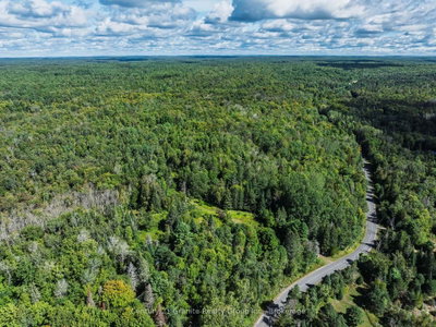 1961 Irondale Road • Highlands East, ON photo 3