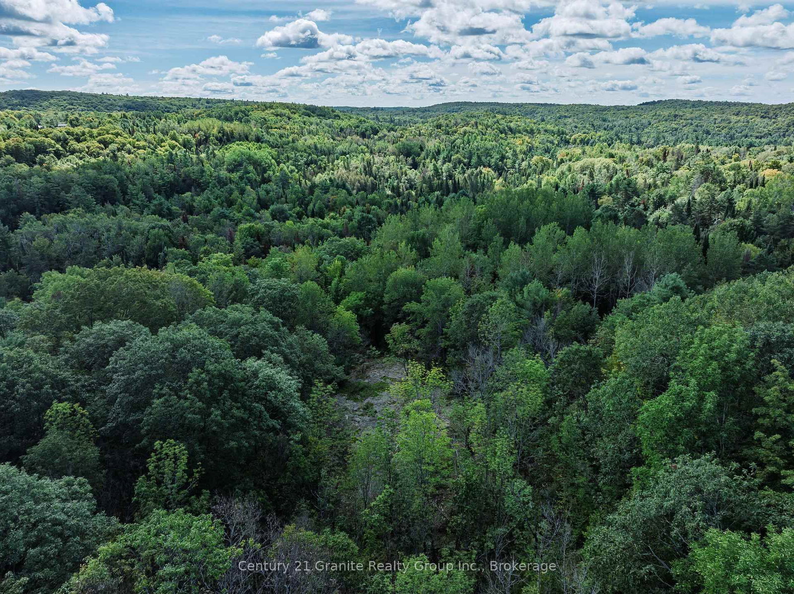 1961 Irondale Road • Highlands East, ON photo 33