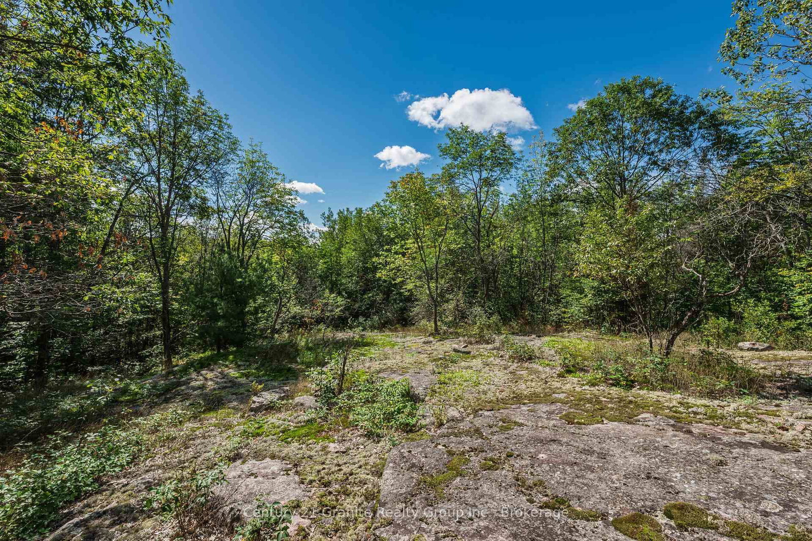 1961 Irondale Road • Highlands East, ON photo 34