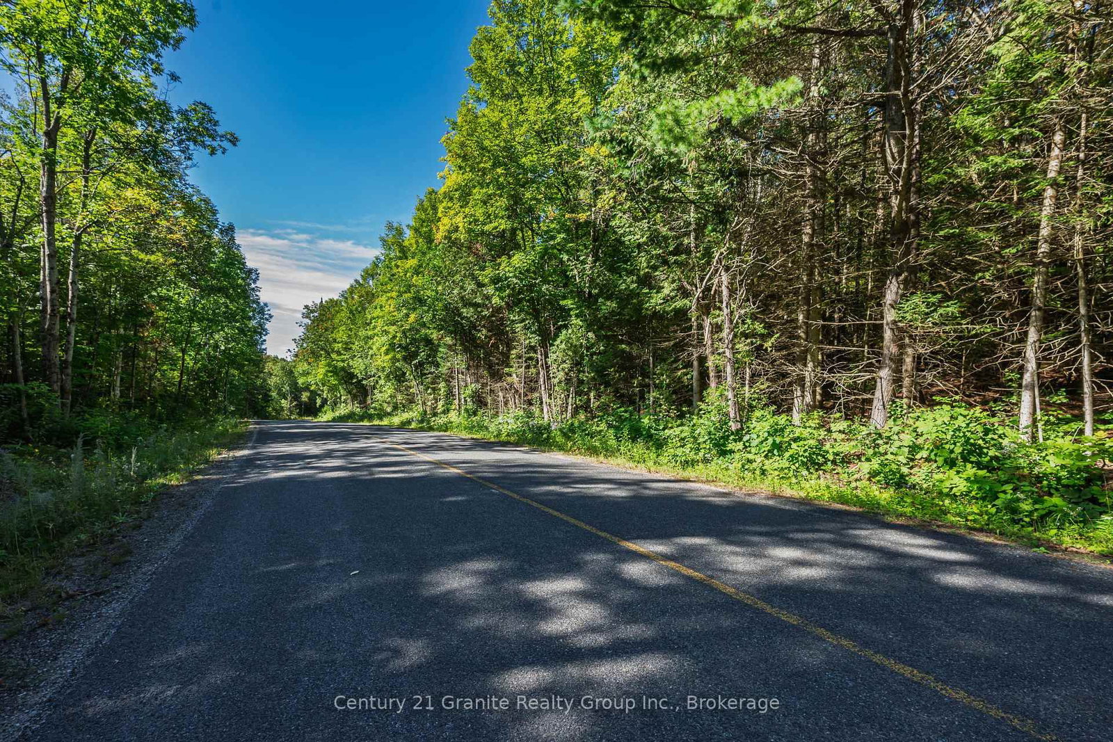 1961 Irondale Road • Highlands East, ON photo 35