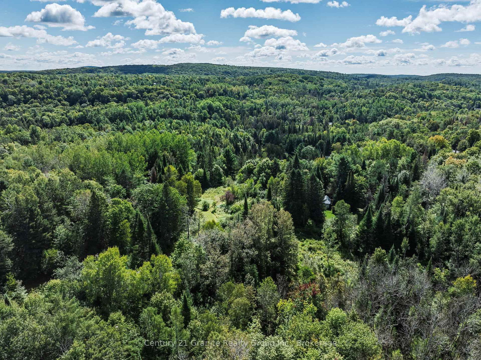 1961 Irondale Road • Highlands East, ON photo 4