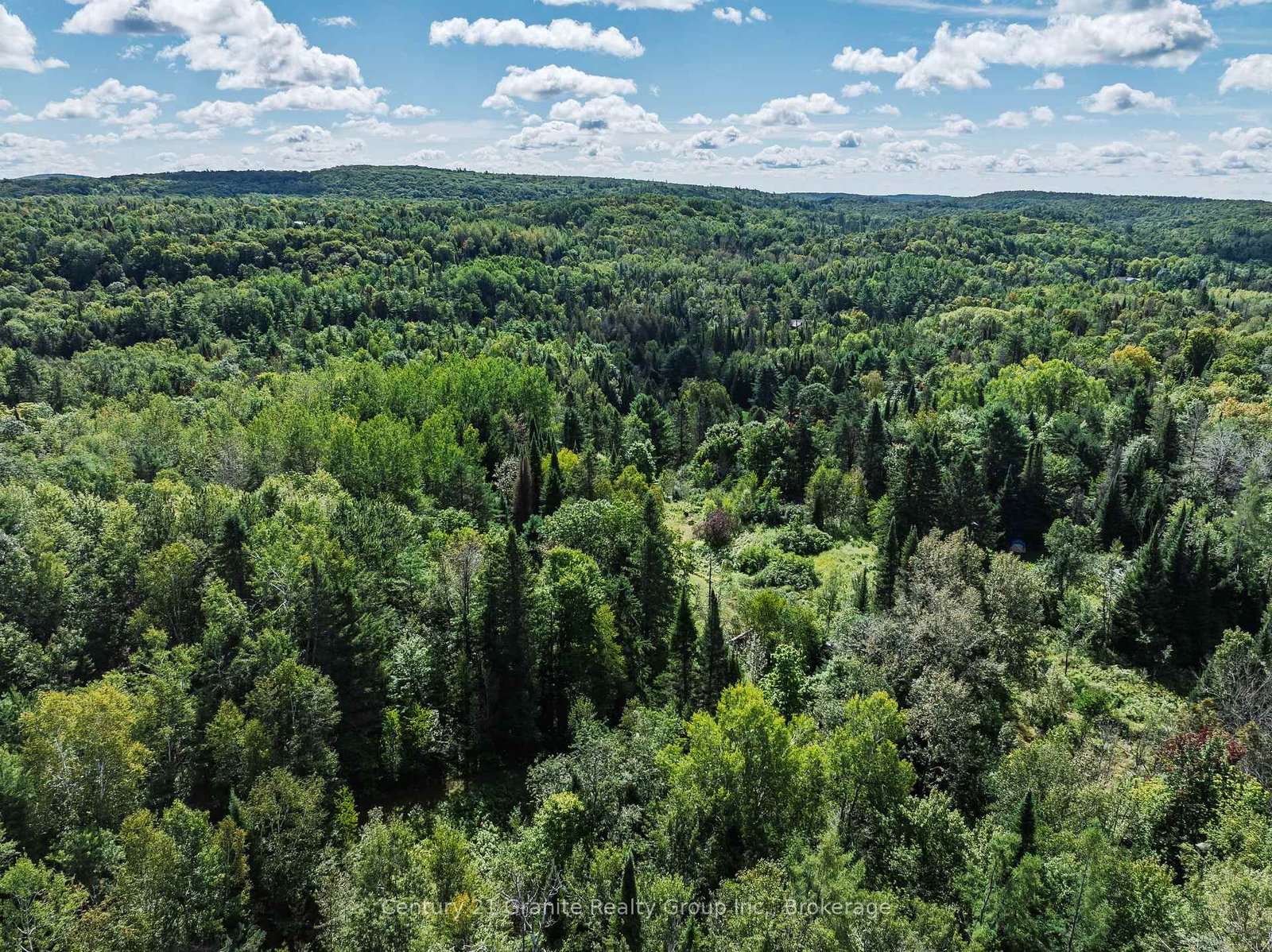 1961 Irondale Road • Highlands East, ON photo 5