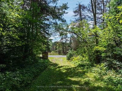1961 Irondale Road • Highlands East, ON photo 8