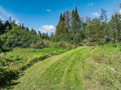 1961 Irondale Road • Highlands East, ON photo 9
