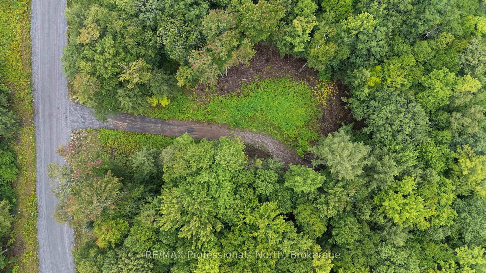 1247 Hawk Valley Road • Algonquin Highlands, ON photo 10