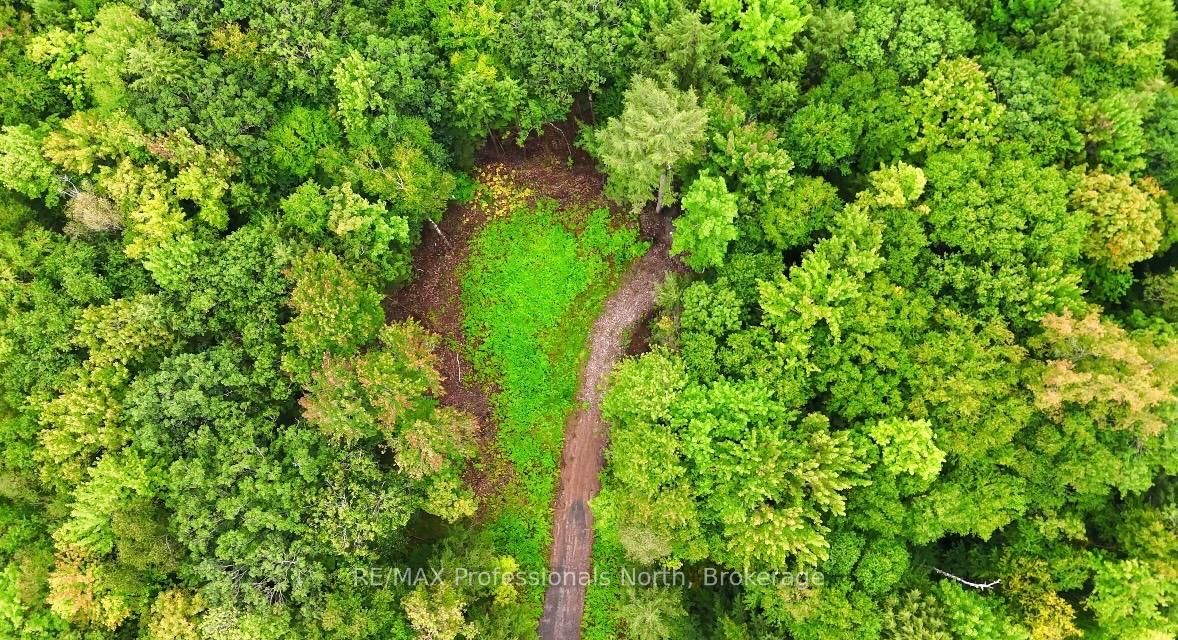 1247 Hawk Valley Road • Algonquin Highlands, ON photo 2