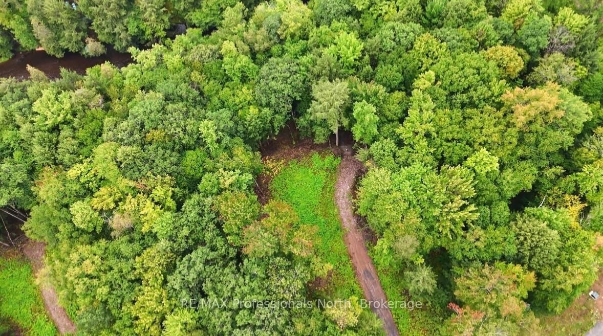 1247 Hawk Valley Road • Algonquin Highlands, ON photo 3