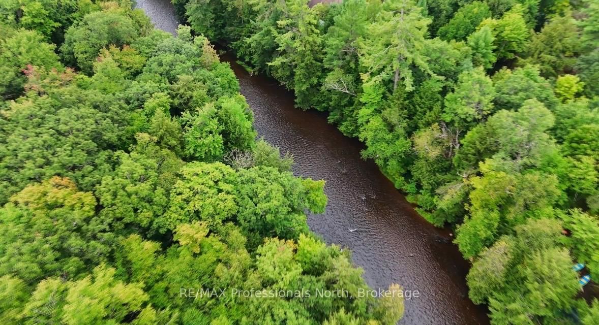 1247 Hawk Valley Road • Algonquin Highlands, ON photo 5