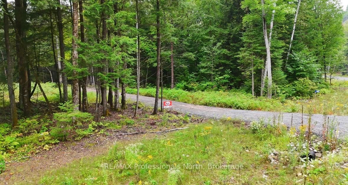 1247 Hawk Valley Road • Algonquin Highlands, ON photo 6