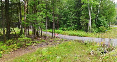 1247 Hawk Valley Road • Algonquin Highlands, ON photo 6