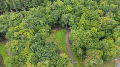 1247 Hawk Valley Road • Algonquin Highlands, ON photo 9