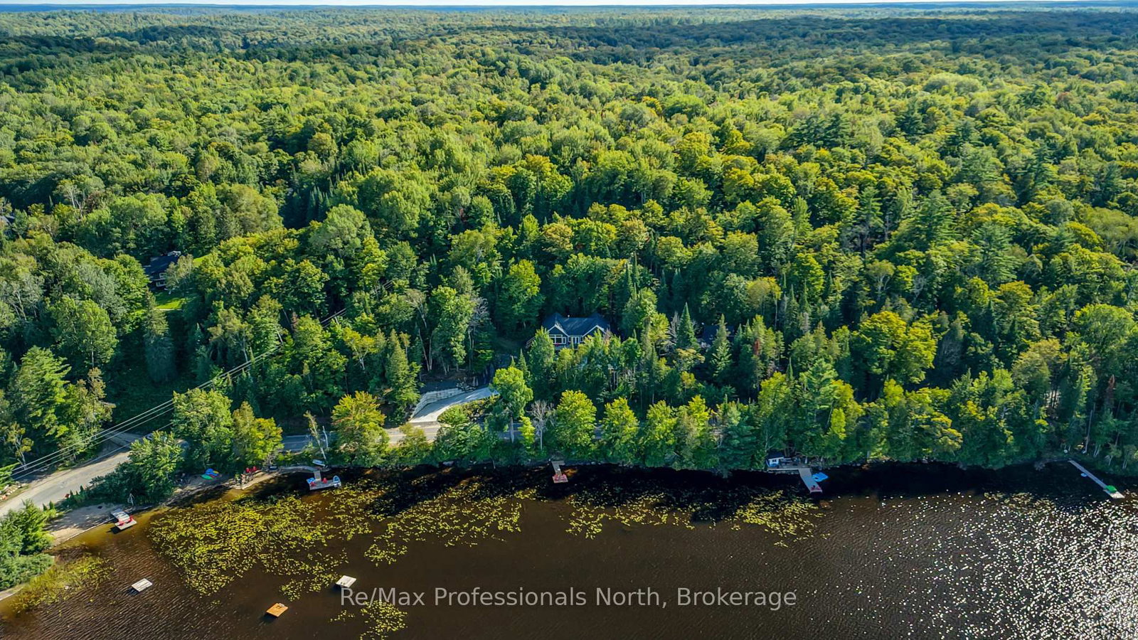 1420 Echo Lake Road • Lake of Bays, ON photo 49