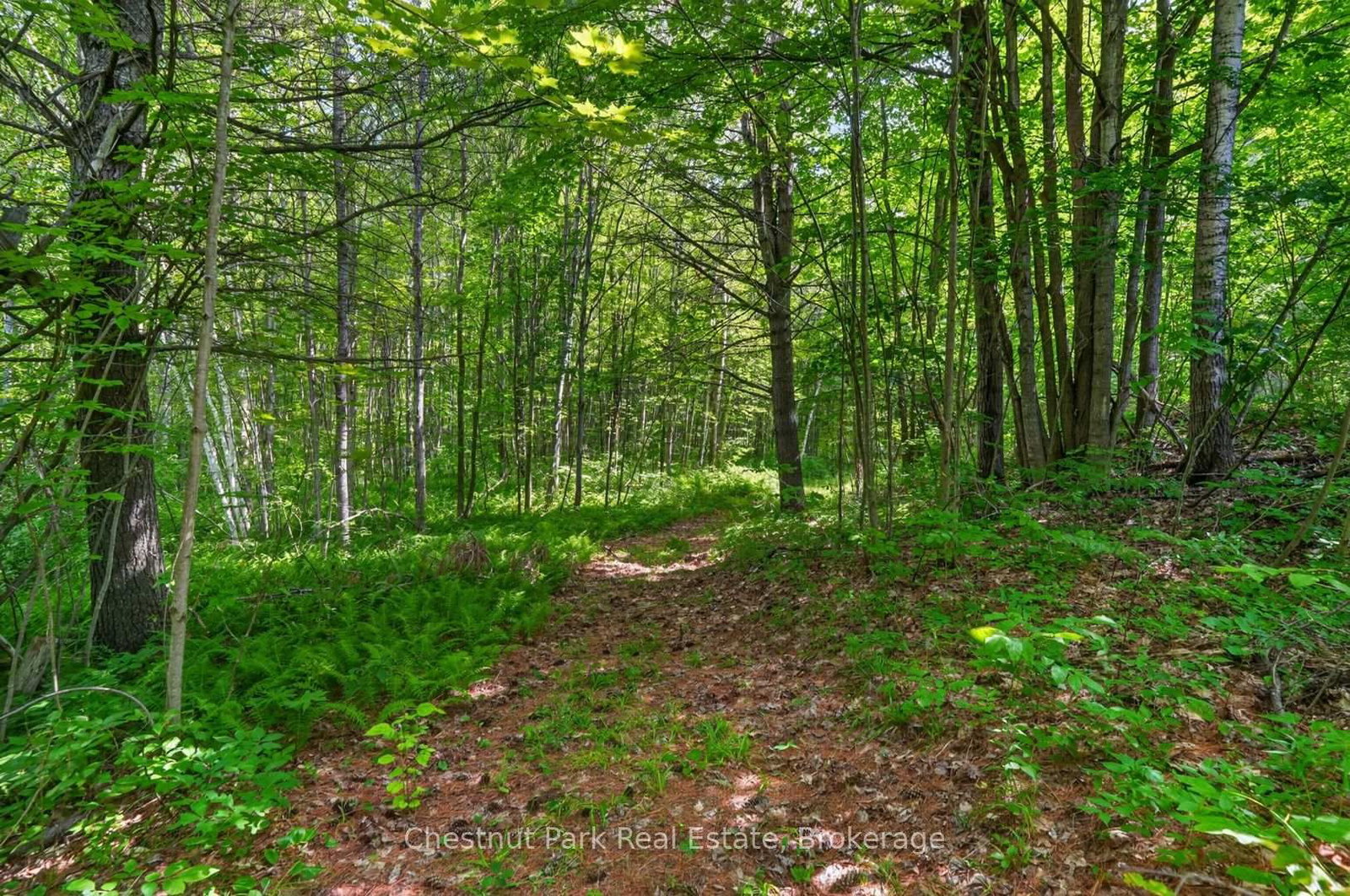 1304 11 Highway N • Gravenhurst, ON photo 39