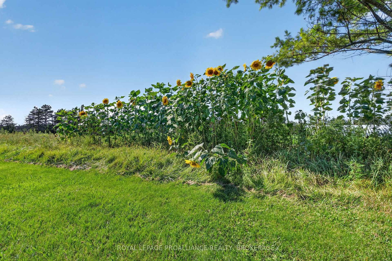 867 Millhaven Road • Bissett Creek, ON photo 25