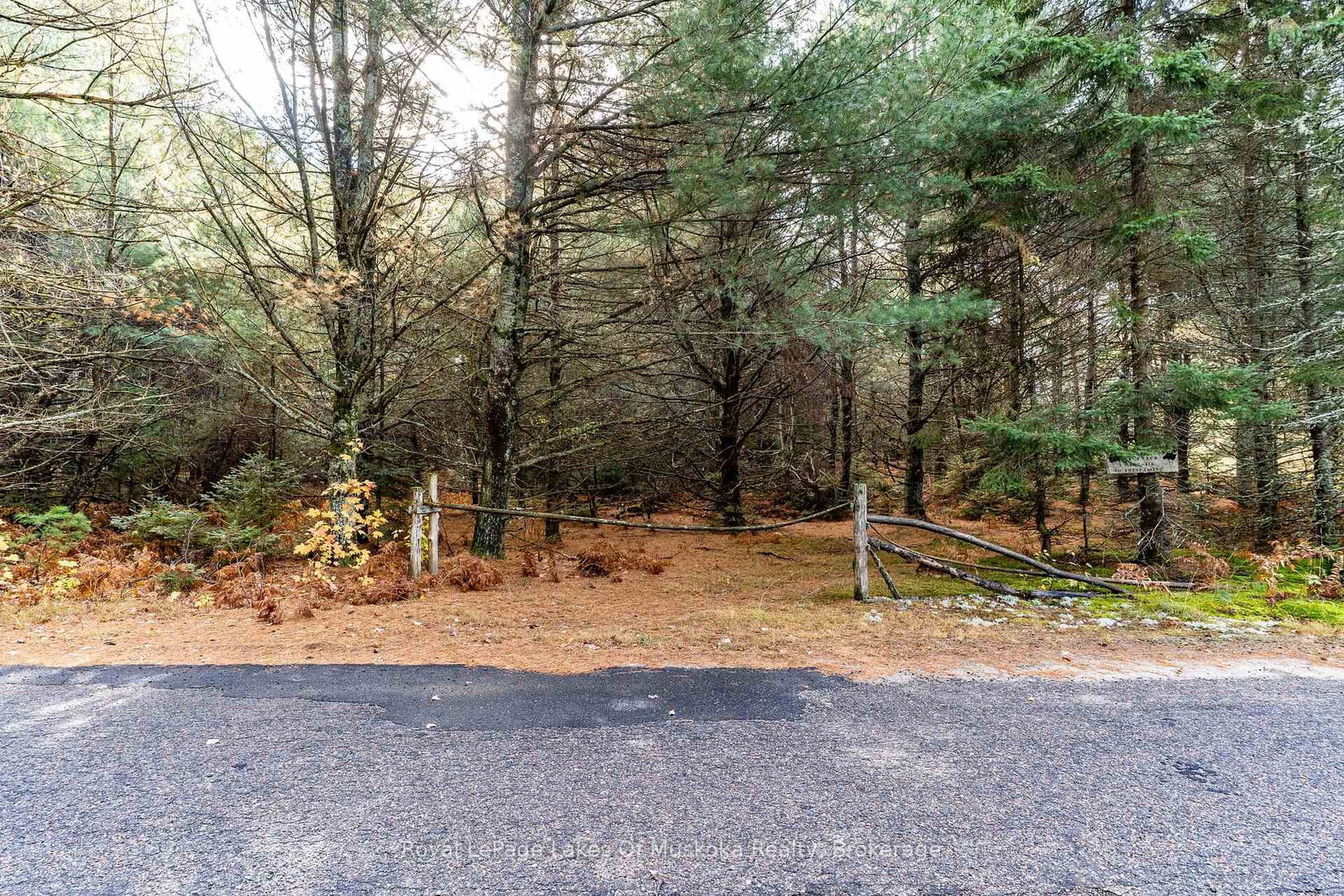 267 & 321 Cardwell Lake Road • Huntsville, ON photo 10