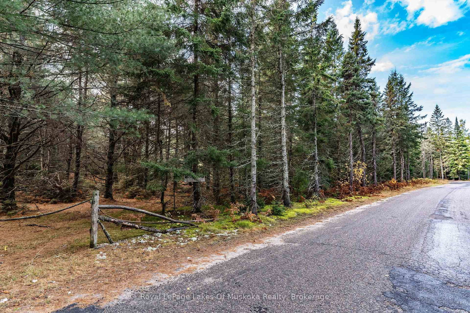 267 & 321 Cardwell Lake Road • Huntsville, ON photo 11