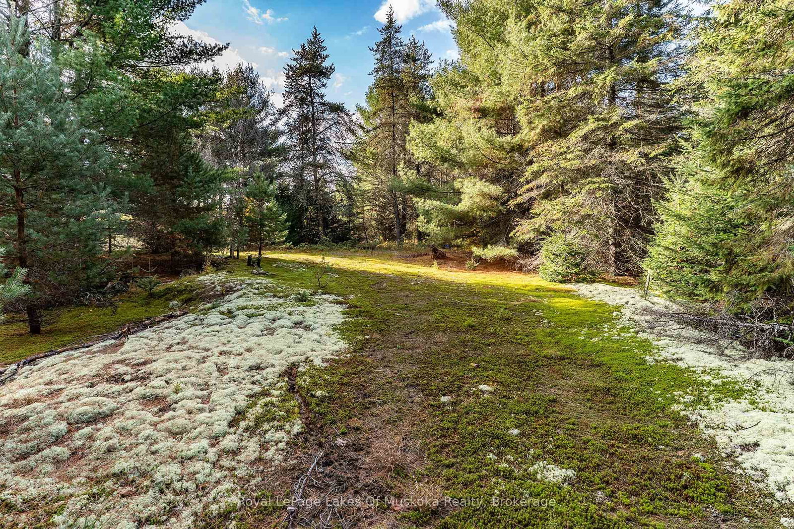 267 & 321 Cardwell Lake Road • Huntsville, ON photo 13
