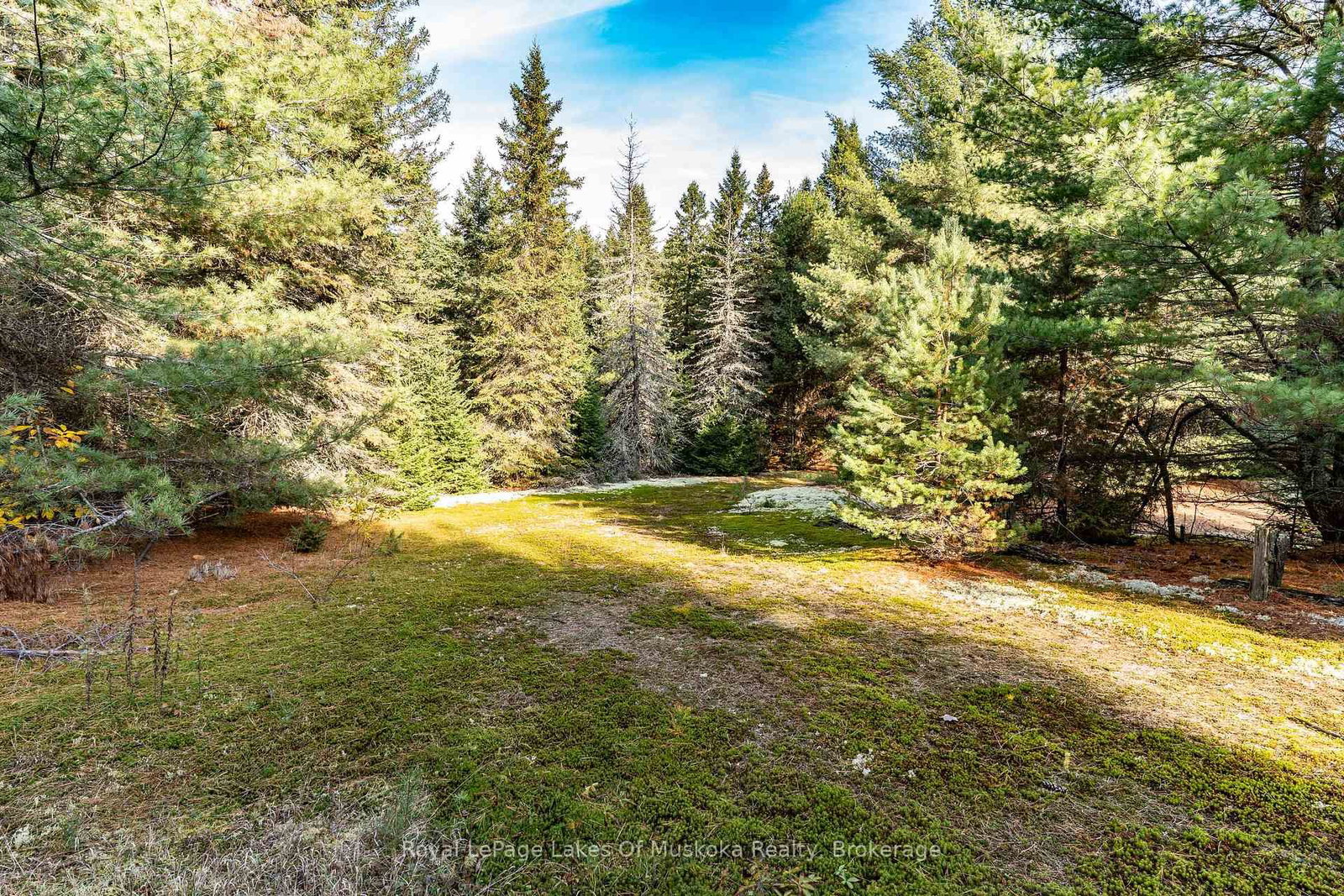 267 & 321 Cardwell Lake Road • Huntsville, ON photo 15