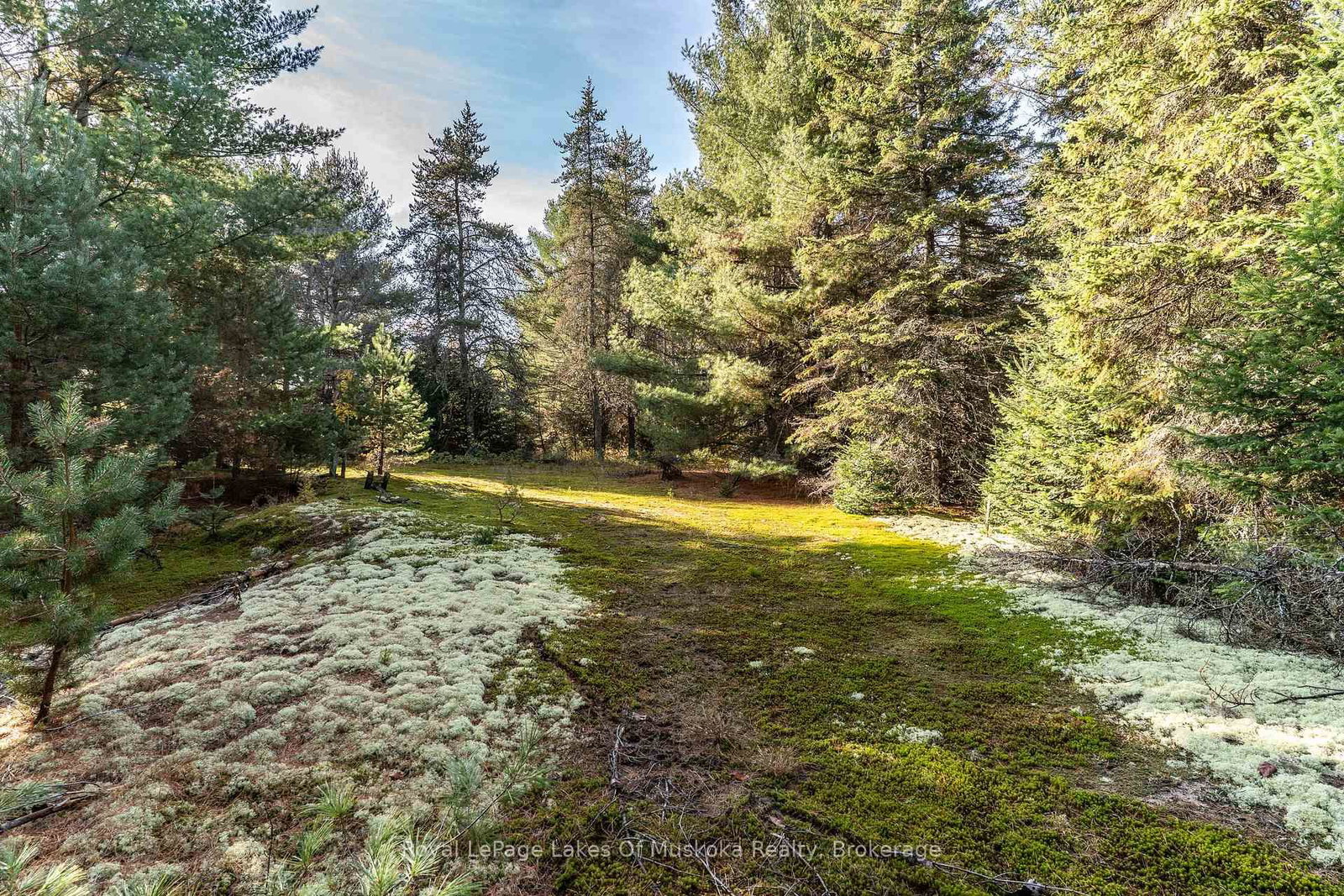 267 & 321 Cardwell Lake Road • Huntsville, ON photo 16