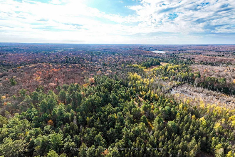 267 & 321 Cardwell Lake Road