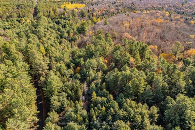 267 & 321 Cardwell Lake Road • Huntsville, ON photo 5