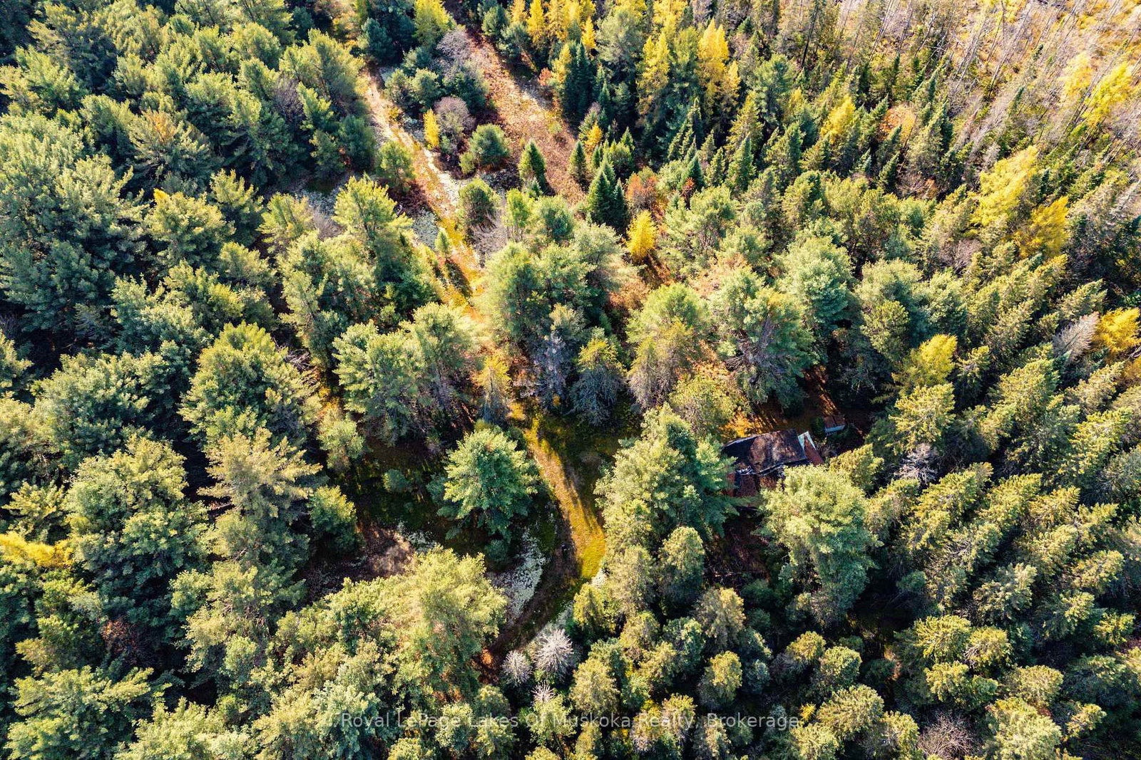 267 & 321 Cardwell Lake Road • Huntsville, ON photo 8