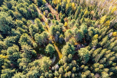 267 & 321 Cardwell Lake Road • Huntsville, ON photo 8