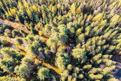 267 & 321 Cardwell Lake Road • Huntsville, ON photo 9