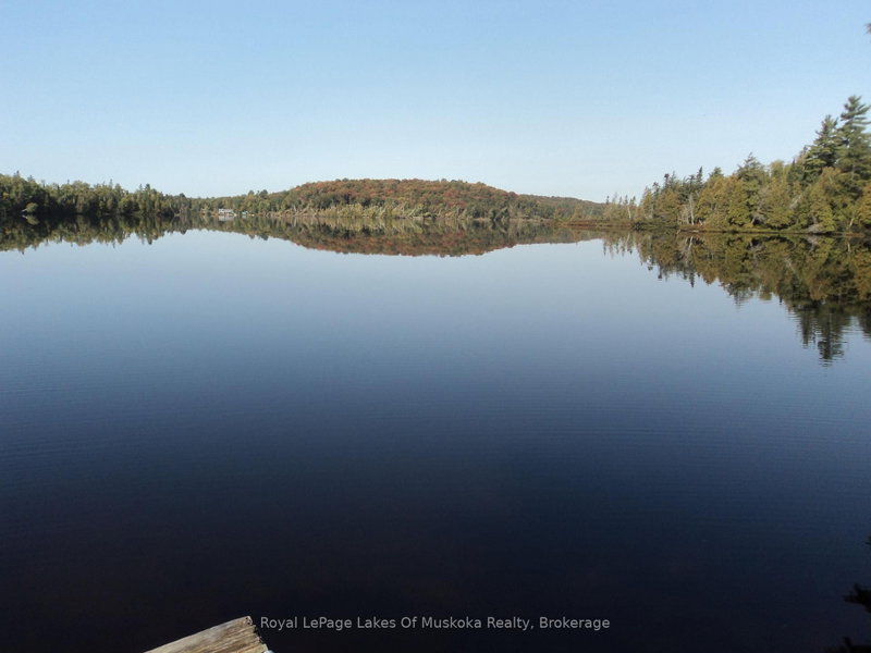 1071 Dotty Lake Road
